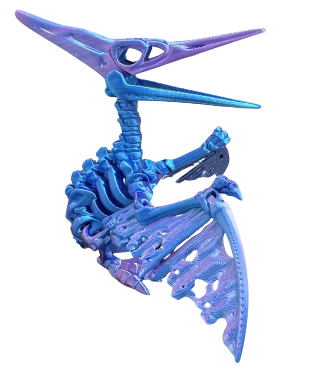 Pteranodon Articulado 18 cm | HUNNER